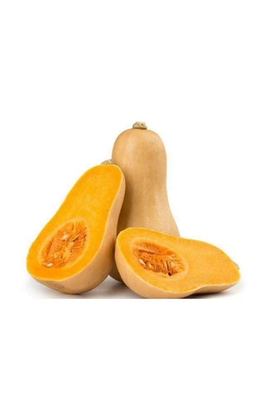 Muka Botanik 5 Adet Erkenci Bal Kabağı Tohumu - 2