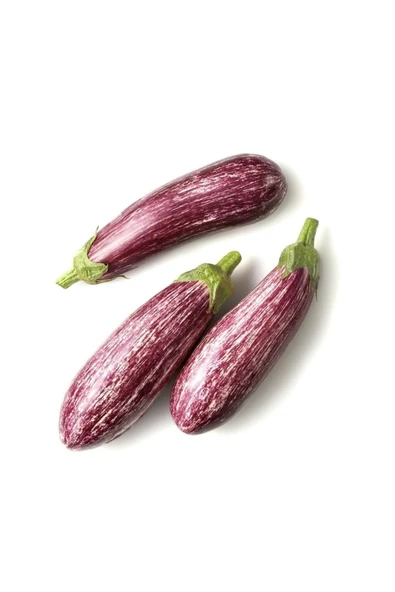 Muka Botanik Çizgili Kırçıllı Patlıcan Tohumu / 5+ Adet Tohum - Resim 5