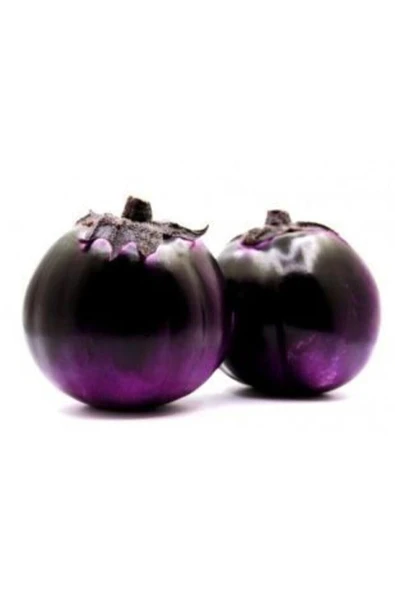 Muka Botanik Ithal Elma Patlıcanı Tohumu Ekim Seti - Resim 2