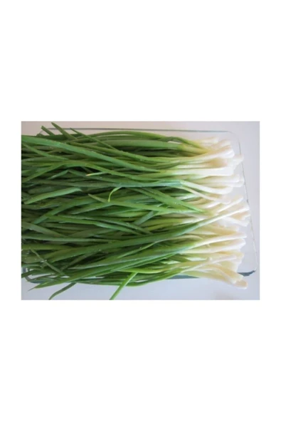 Muka Botanik Taze Firik Yeşil Soğan Tohumu 50 Adet Tohum - Resim 2
