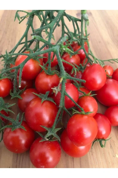 Muka Botanik 20 Adet Sweet Cherry Domates Tohumu - Resim 2