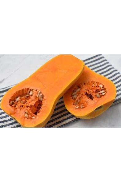 Muka Botanik 5 Adet Pumpkin Butternut Sweet Bal Kabağı Tohumu - 2