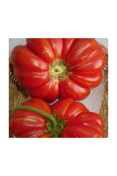 Muka Botanik Meşhur Ankara Ayaş Domates Tohumu 40 Adet Tohum Ayaş Domatesi Tohumu - Resim 4