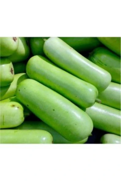 Muka Botanik Nadir Çin Kavunu Tohumu Ekim Seti - Resim 3