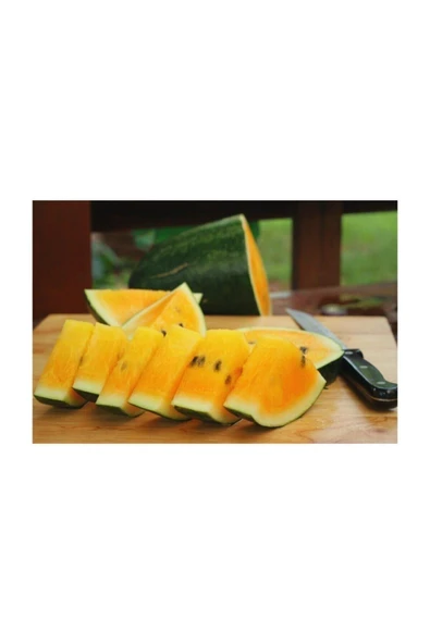 Muka Botanik Eko Paket 20 Adet Tohum Nadir Ithal Sarı Karpuz Tohumu - Resim 3