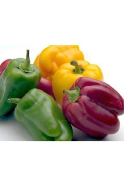 Muka Botanik Rengarenk Dolmalık Biber Tohumu Ekim Seti - Resim 3