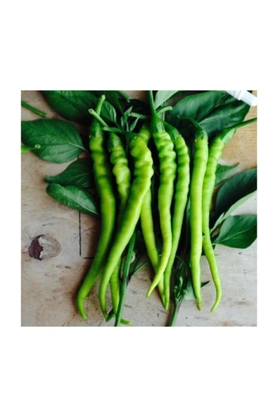 Muka Botanik Tatlı Kıl Biber Tohumu 25 Adet Tohum Sivri Tatlı Biber - Resim 2