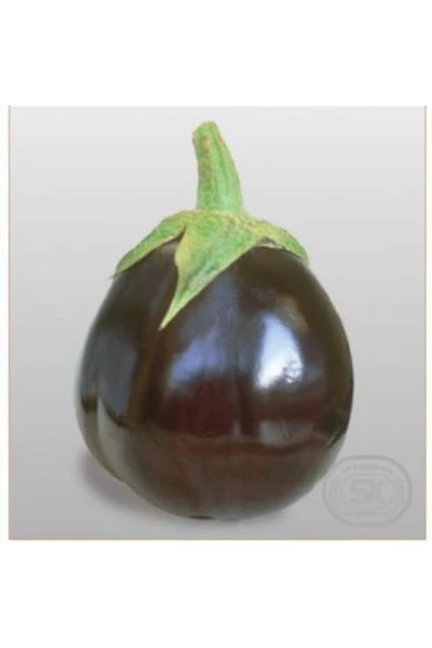 Muka Botanik Iri Topan Dolmalık Patlıcan Tohumu Ekim Seti - Resim 3