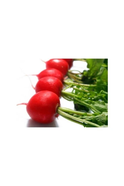 Muka Botanik Agrobazaar Minik Kırmızı Turp Tohumu 100+ Tohum ürün görseli