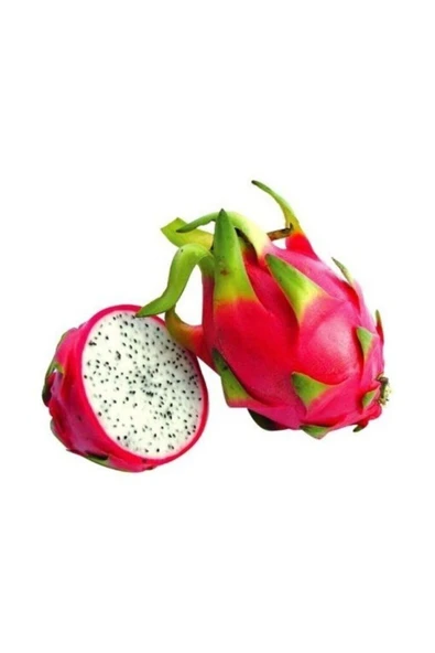 Muka Botanik Bodur Saksılık Pitaya Meyvesi Tohumu 10 Adet Tohum Pithaya Fruit ürün görseli