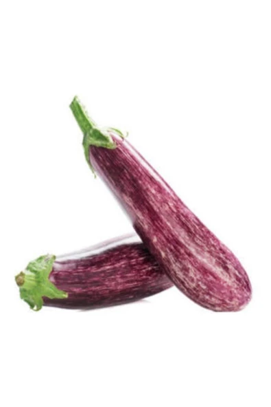 Muka Botanik Nadir Benekli Kemer Patlıcan Tohumu Ekim Seti - Resim 2