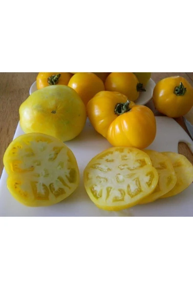 Muka Botanik Nadir Dev Italyan Sarı Pileli Domates Tohumu 5 Tohum - Resim 2