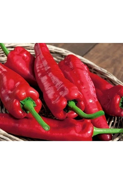 Muka Botanik 20 Adet Sakura Kırmızı Biber Tohumu - Resim 2