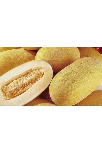 Muka Botanik 10 Adet Özbekistan Kavunu Tohumu - Resim 2