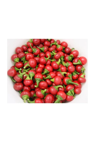 Muka Botanik Nadir Ithal Acı Cherry Kiraz Biberi Tohumu 10 Adet Tohum Biber Tohumu ürün görseli