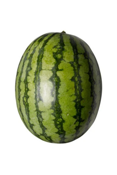 Muka Botanik Meşhur Adana Karpuzu Tohumu 5 Adet Tohum Adana Salbaş Karpuz Tohumu ürün görseli