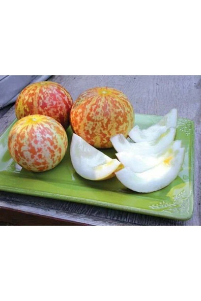 Muka Botanik Tiger Kavun Tohumu ürün görseli