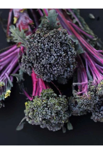 Muka Botanik 20 Adet Purple Peacock Brokoli Tohumu - Resim 2