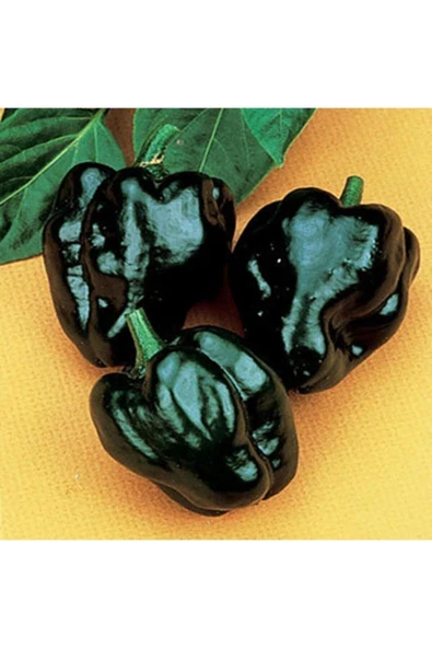 Muka Botanik 10 Adet Ancho Pablona Biber Tohumu ürün görseli