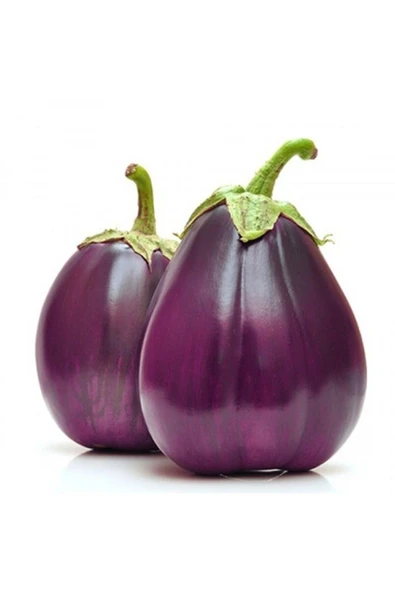 Muka Botanik 10 Adet Italyan Floransa Patlıcan Tohumu ürün görseli