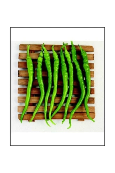 Muka Botanik Sivri Tatlı Kıl Biber 25+ Tohum ürün görseli