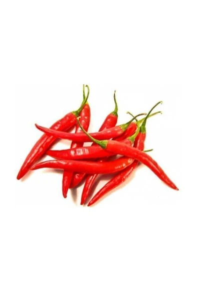 Muka Botanik Ithal Çok Acı Macar Biberi Tohumu 20 Adet Tohum Macar Biber Tohumu - Resim 2