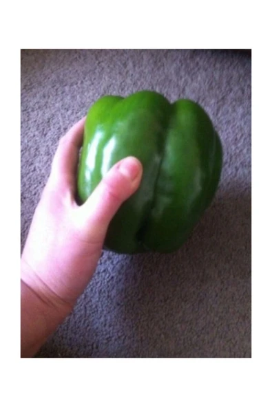 Muka Botanik Nadir Ithal Yeşil Dev Dolmalık Biber Tohumu 40 Adet Tohum - Resim 2