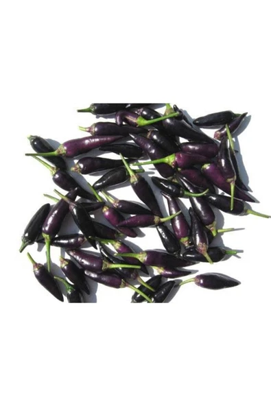 Muka Botanik 20 Adet Organic Purple Cayenne Biber Tohumu - Resim 2