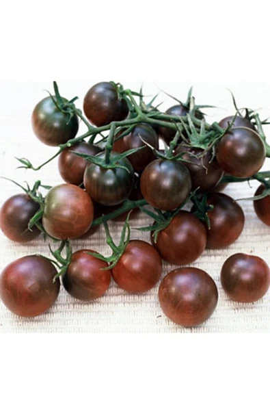 Muka Botanik 10 Adet Çikolata Kiraz Domates Tohumu ürün görseli