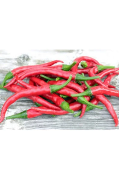 Muka Botanik Nadir Ithal Çok Acı Bangkok Biberi Tohumu Ekim Seti - Resim 3