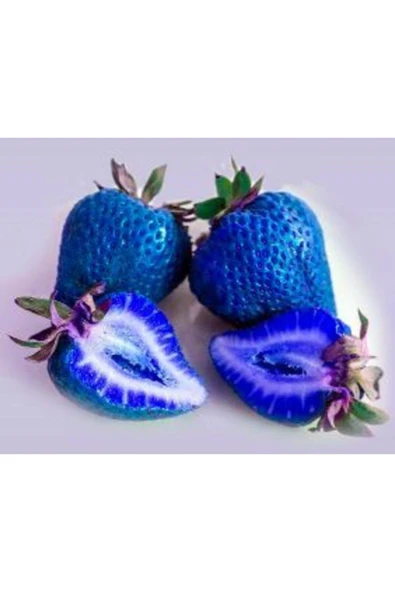 Muka Botanik 10 15 Adet Mavi Çilek Tohumu ürün görseli