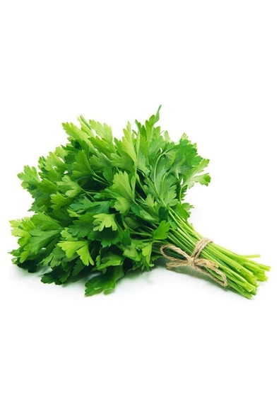 Muka Botanik Yediveren Maydanoz Tohumu 50 Adet Tohum - Resim 2