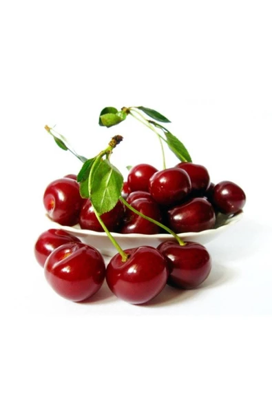 Muka Botanik 10 Adet Tatlı Kiraz Tohumu - Resim 2