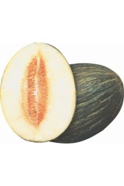 Muka Botanik Hasanbey Kışlık Kavun Tohumu Ekim Seti - Resim 2