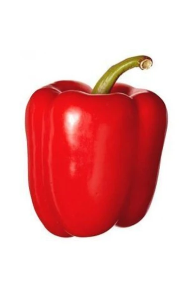 Muka Botanik Nadir Dev Kırmızı Dolmalık Biber Tohumu Ekim Seti - Resim 4