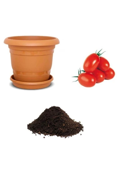 Muka Botanik Saksılık Zeytin Domates Tohumu Ekim Seti ürün görseli