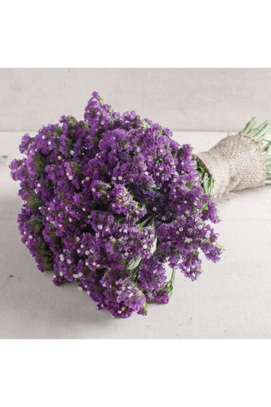 Muka Botanik Mürdüm Deniz Lavantası Lımonıum Çiçek Tohumu 10 15 Adet ürün görseli