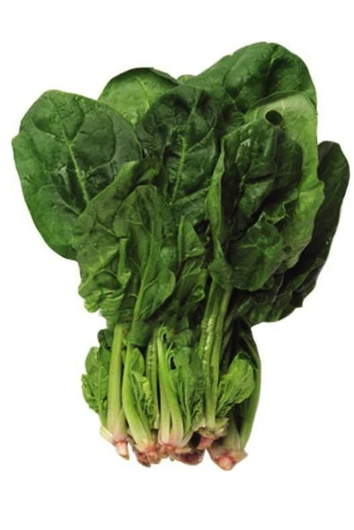 Muka Botanik Geniş Yapraklı, Yerli Ispanak Tohumu / 20 Adet Tohum - Resim 2