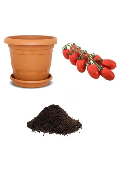 Muka Botanik Bursa Domates Tohumu Ekim Seti ürün görseli