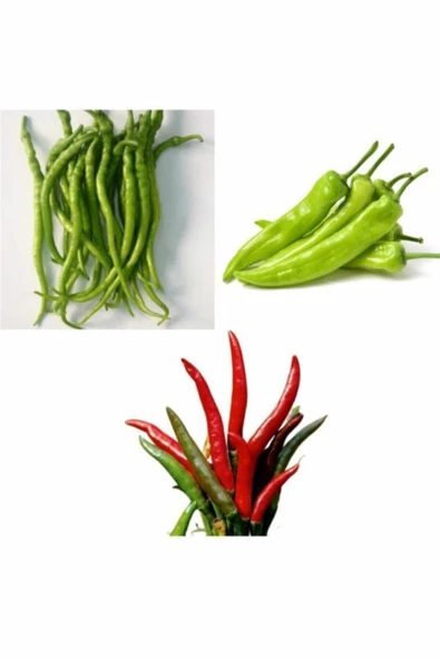 Muka Botanik 3 Çeşit Acı Kıl Biber Çarliston Biber ve Süs Biberi Tohumları ürün görseli