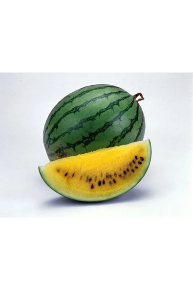 Muka Botanik Süper Paket 60 Adet Tohum Ithal Nadir Sarı Karpuz Tohumu - Resim 2