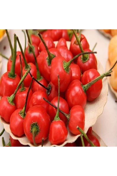 Muka Botanik 10 Adet Mini Şili Biber Tohumu ürün görseli