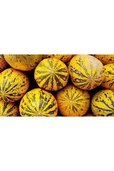 Muka Botanik Eko Paket 150 Tohum Meşhur Altınbaş Manisa Kavunu Tohumu Kavun Tohumu - Resim 3