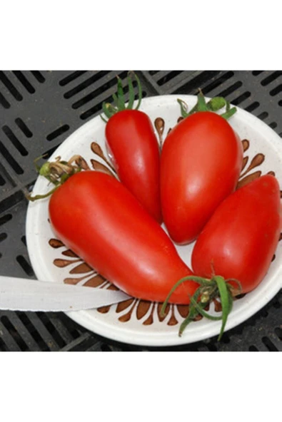 Muka Botanik 20 Adet Federle Domates Tohumu ürün görseli