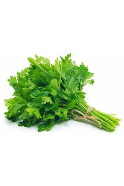 Muka Botanik 100 Adet Doğal Geniş Yapraklı Maydonoz Tohumu ürün görseli