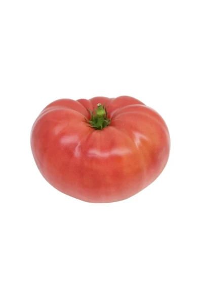 Muka Botanik Meşhur Ankara Ayaş Domates Tohumu 10 Adet Tohum Ayaş Domatesi Tohumu ürün görseli