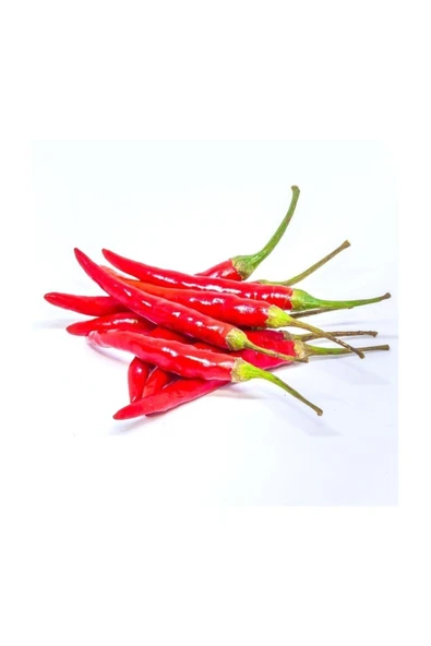 Muka Botanik Süper Paket 150 Adet Tohum Ithal Nadir Thailand Çok Acı Biber Tohumu - Resim 2