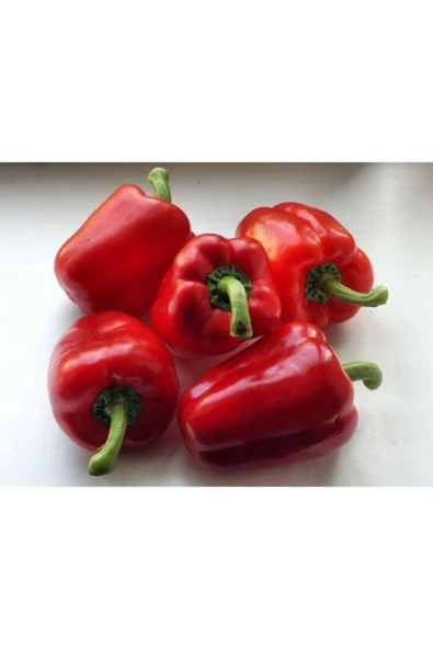 Muka Botanik Agrobazaar Kırmızı Dolmalık Biber Tohumu 25+ Adet Tohum - Resim 2