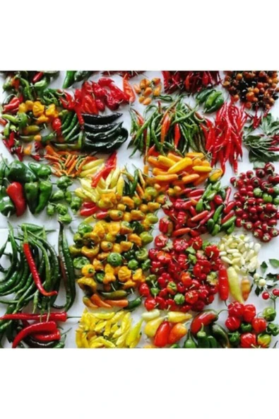 Muka Botanik 100 Adet 50 Çeşit Acı Biber Tohumu ürün görseli