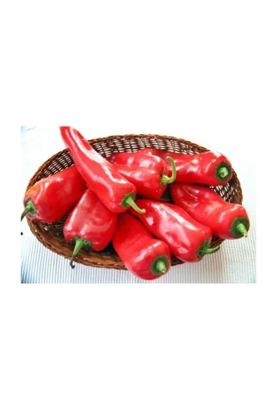 Muka Botanik Kapya Biber (kapia Pepper) 50 Adet Tohum ürün görseli
